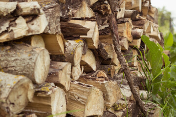 Stacked Fire Wood outside the cottage in the village summer day