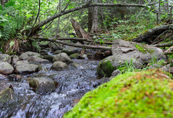 Bubbling Creek