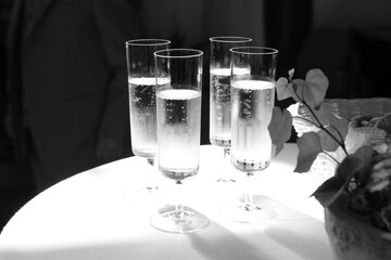 Prosecco Glasses, back & white