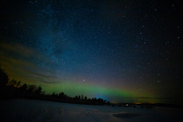 Fototapeta premium Arctic Night