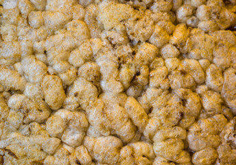 diet crunches - crispy bread of wheat, rice and fruit, texture