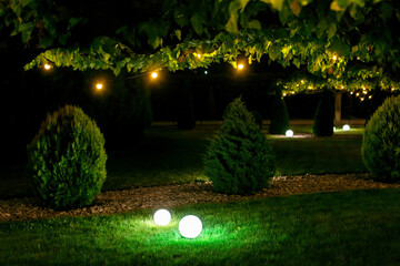illumination backyard light garden with electric ground sphere lantern with stone mulch and thuja...