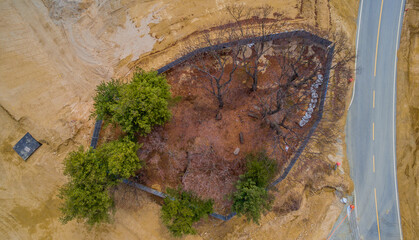 Aerial view of small grove of trees
