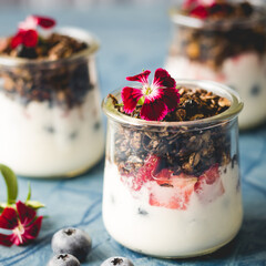 Chocolate Granola with Yogurt and Fruits in Three Glass Jars with Flower Garnish-square