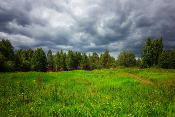 Summer landscape green meadow on a background of forest and cloudy sky.
