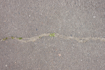 Fototapeta na wymiar Crack in the asphalt. Texture of damaged asphalt