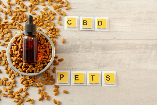 pet food in an iron bowl, on top is a jar of oil, word pet and CBD, wooden background, free space for text
