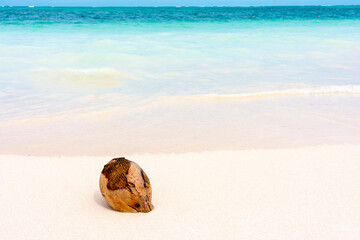 Coconut on caribbean white sand with turquoise sea background, Bavaro beach, Punta Cana, Dominican Republic