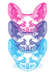 Fennec fox head. Doodling coloring, meditative coloring. Patterns, dots, stripes. Cute animals.