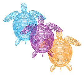The sea turtle swims. Meditative coloring of antistress. Arrows, strips, scales, lines. Logo, print on the T-shirt. Children's painting, drawing by hand.  - 359559323