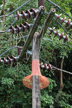 Anti-monkey net on an electrical pole in Phuket, Thailand. Monkeys and other wild animals often cause power outages.
