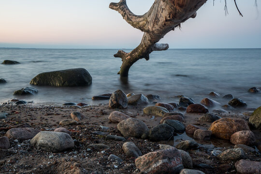 Beautiful sunset with a tree on a baltic sea