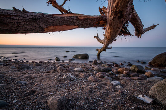 Beautiful sunset with a tree on a baltic sea