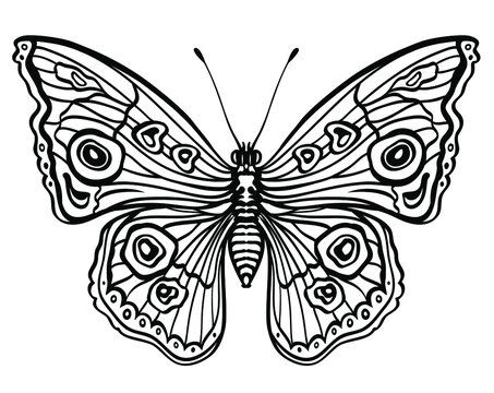 Black and white  butterfly, creative concept, linear drawing, silhouette, isolated vector illustration on white background. Image with an insect for stencil, tattoo, stamp and other designs.