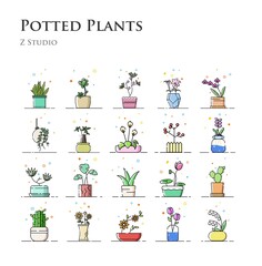 Potted Plants