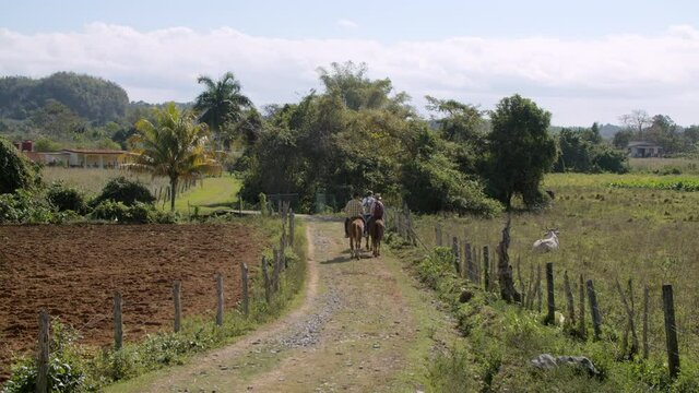 Some people taking a horse ride through a pathway in the mountains of Vi&ntilde;ales, Cuba
