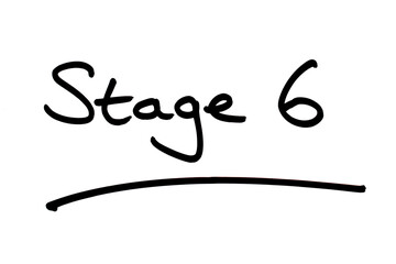 Stage 6