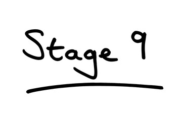 Stage 9