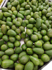 Green avocados on the pile for sale