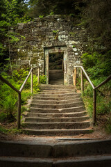 old stairway to heaven / mystery ruined house in forest 
