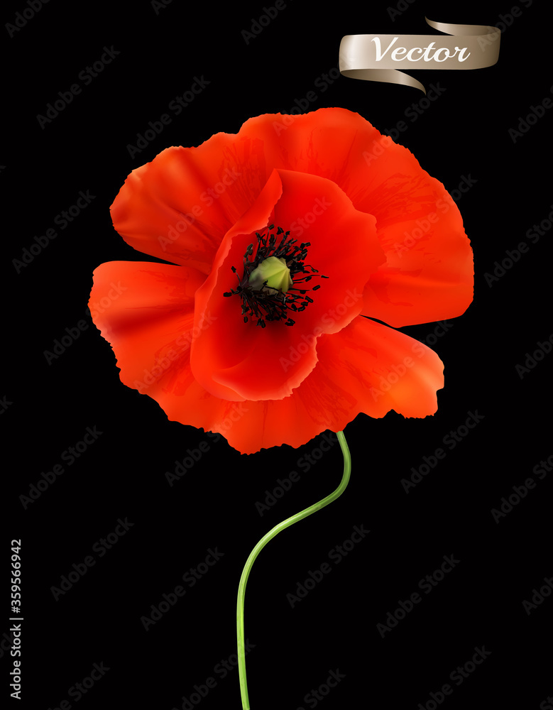 Poster red poppy isolated on black background. 3d realistic vector