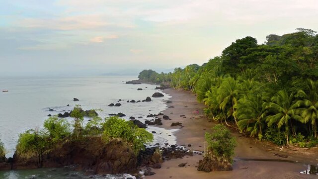 Sandy beach of the Pacific Ocean with palm trees in Choco, Colombia, near Nuqui, drone aerial view above the shore