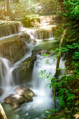 Beautiful scenic of the waterfall and green leaves.