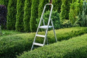 Gardener's ladder standing in the green garden outdoors. Gardening concept © kyrychukvitaliy
