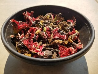 Open, ripe fallen saguaro fruits showing seeds and flesh