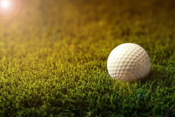 Golf ball in park on sunny day. Space for design