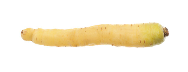 Whole fresh raw carrot isolated on white