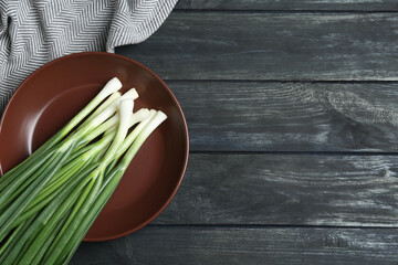 Fresh green spring onions on black wooden table, flat lay. Space for text