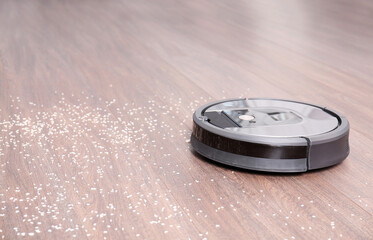 Removing groats from wooden floor with robotic vacuum cleaner at home. Space for text