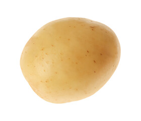 Fresh raw organic potato isolated on white