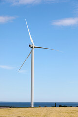 Fototapeta premium Beautiful view of field with wind turbine. Alternative energy source