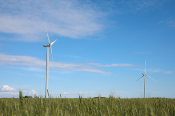 Beautiful view of field with wind turbines. Alternative energy source