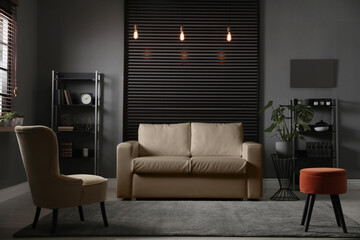 Stylish living room interior with elegant leather sofa