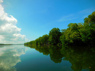 reflejo 