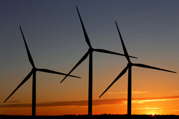 Silhouettes of wind turbines at sunset. Alternative energy source © New Africa