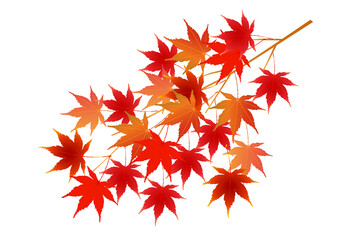 紅葉　もみじ　秋　アイコン