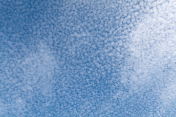 Fototapeta na wymiar Mackerel Sky