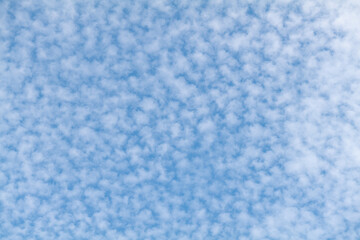 Mackerel Sky