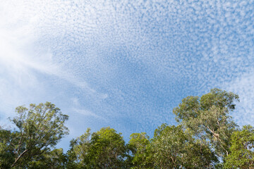 Mackerel Sky