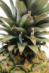 the mini figure roller skating on the pineapple