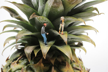 the mini figure roller skating on the pineapple