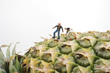 the mini figure roller skating on the pineapple