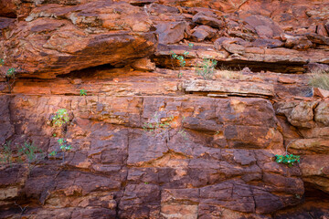 Detail of red rock wall at Kings Canyon