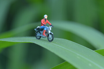 Miniature figures rider  motor cycle in tropical garden 