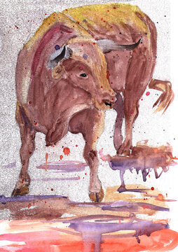 a spanish bull digs a hoofed ground in an arena during a bullfight in Spain, a watercolor drawing, 2021 symbol