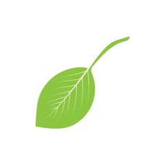 A leaf illustration.